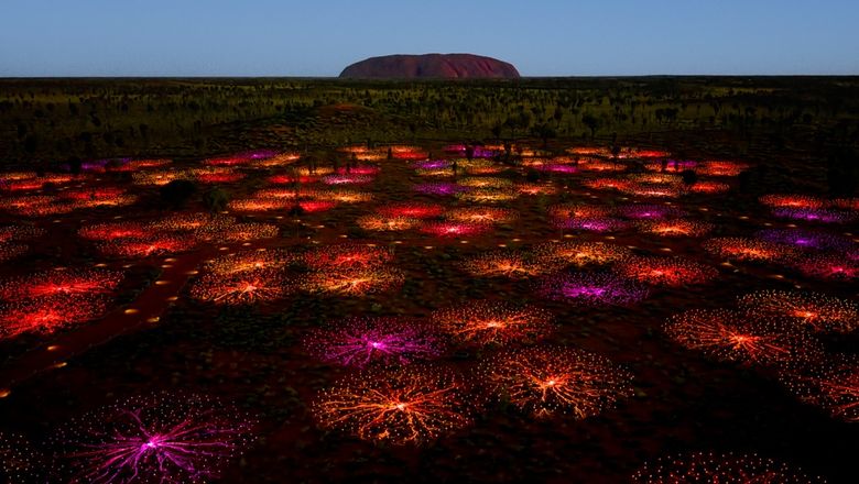 The installation was last refreshed in 2024, with the lights and infrastructure upgraded as it enters its second decade.