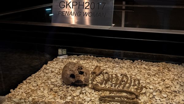Said to have lived around 3,700 BC, the Penang Woman is the first complete Neolithic skeleton discovered in Malaysia. Said to have lived around 3,700 BC, the Penang Woman is the first complete Neolithic skeleton discovered in Malaysia.