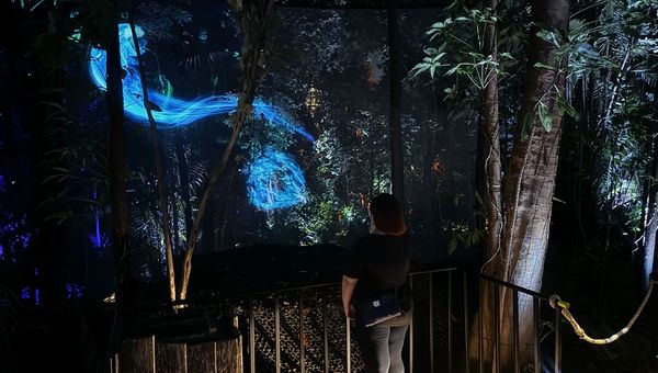 Guests are afforded the chance to cast their own patronus during their visit. Guests are afforded the chance to cast their own patronus during their visit.