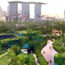 TeamLab goes kayaking in Singapore’s wetlands