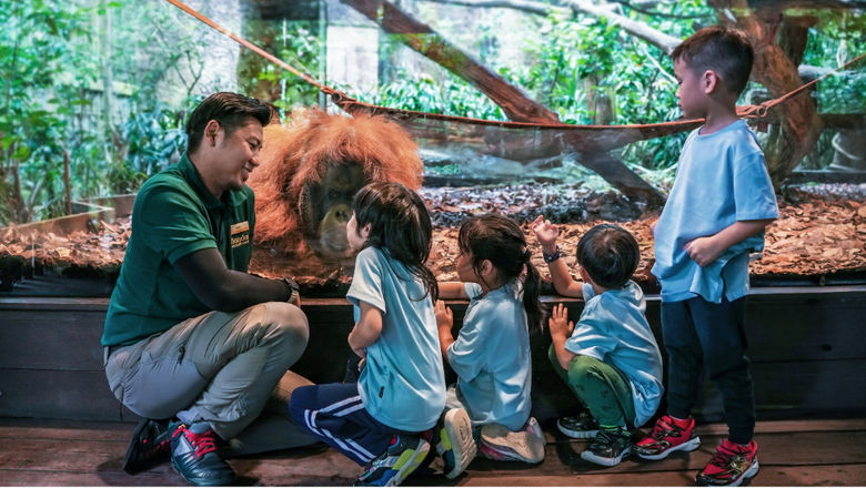 Launching June 2025, ZooSchool offers nature-based programmes for kids aged preschool to 12, blending wildlife exploration with outdoor survival skills and biodiversity education across Mandai parks.