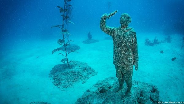 “I hope that in years to come a variety of endemic species such as corals, sponges and hydroids will change the sculptures' appearance in vibrant and unpredictable ways,” said the museum’s artist. “I hope that in years to come a variety of endemic species such as corals, sponges and hydroids will change the sculptures' appearance in vibrant and unpredictable ways,” said the museum’s artist.