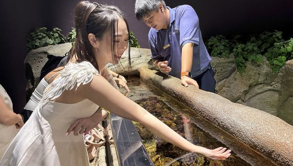 Singapore’s Coast zone features a touch pool where skunk cleaner shrimp instinctively feed on visitors’ dead skin, demonstrating symbiotic marine behavior. Singapore’s Coast zone features a touch pool where skunk cleaner shrimp instinctively feed on visitors’ dead skin, demonstrating symbiotic marine behavior.