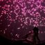 What's the big deal with the new Singapore Oceanarium?