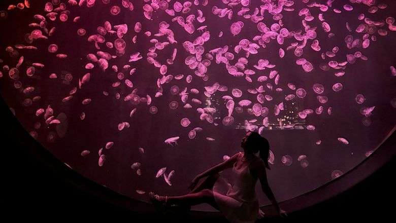 Singapore Oceanarium is three times larger than the former S.E.A. Aquarium, spanning 22 zones and nearly 5km of walking paths across immersive exhibits.