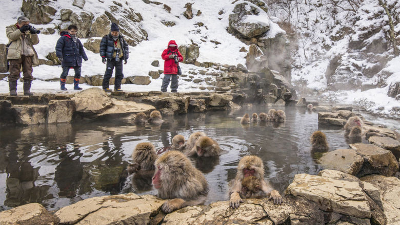 Japan's onsens are experiencing water shortages due to surging tourism, prompting authorities to restrict drilling and enforce conservation measures as visitor numbers reach record highs.