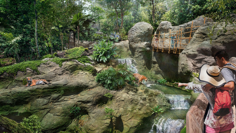 In the Rock Cascade zone, visitors can observe Malayan tigers from an elevated walkway, surrounded by diverse vegetation, rocky formations, and cascading waterfalls.