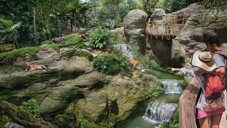 The largest animal habitat in Rainforest Wild Asia is home to the Malayan tiger.