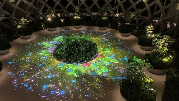 Sensoryscape’s Scented Sphere features a projection mapping of butterflies and flowers. Sensoryscape’s Scented Sphere features a projection mapping of butterflies and flowers.