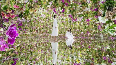 The Floating Flower Garden at teamLab Planets consists of three-dimensional mass of flowers.