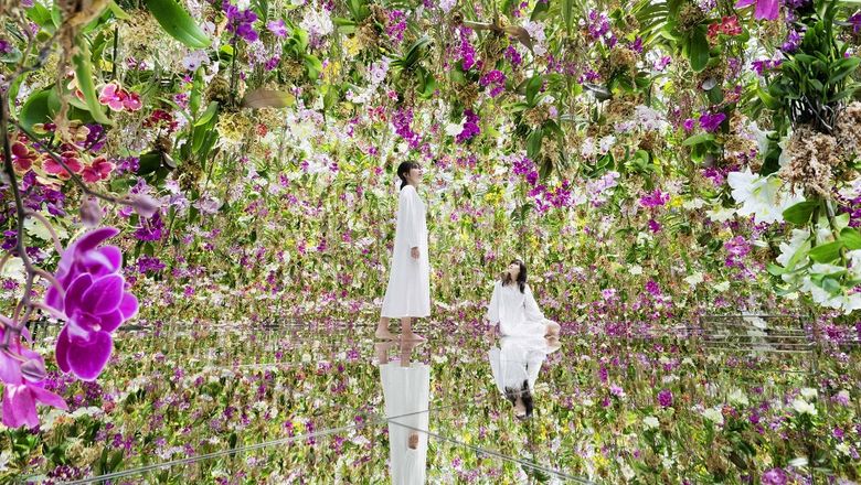 The Floating Flower Garden at teamLab Planets consists of three-dimensional mass of flowers.