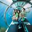 Under the sea on a see-through submarine