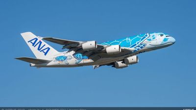 All Nippon Airways is the first airline in the world to operate the A380 and A320 aircraft on a Mixed Fleet Flying license. Photo Credit: Airbus