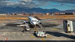 After the man was sucked into the engine at Bergamo Airport, all flights were suspended before services resumed around midday.
