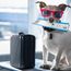 Furs class travel: Should pets be allowed on flights?