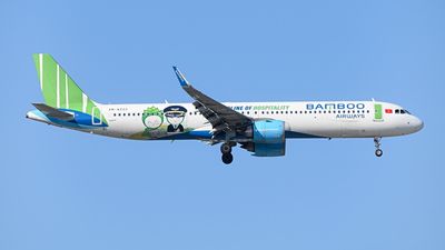 Bamboo Airways will turn its attention to domestic routes.