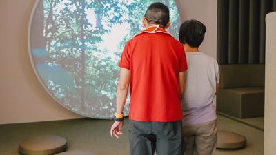 The Forest is the Calm Room’s largest zone.
