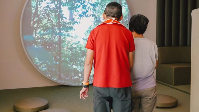 The Forest is the Calm Room’s largest zone.