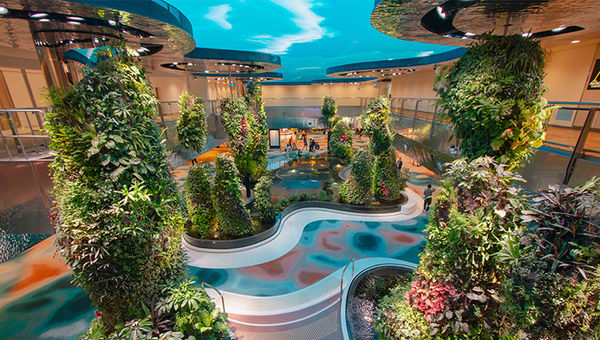 Dreamscape’s array of plants amid a landscaped backdrop. Dreamscape’s array of plants amid a landscaped backdrop.