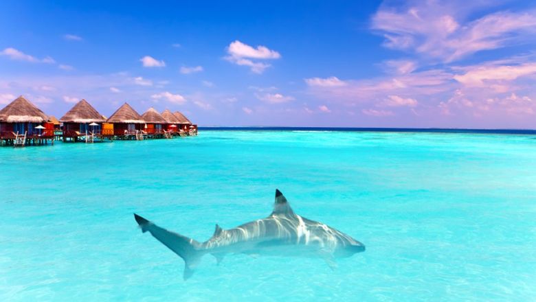 Overwhelming demand for flights to Maldives