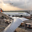 Airlines call for government support as disruptions escalate