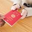 Dog chewed the passport? Sorry, you can go home