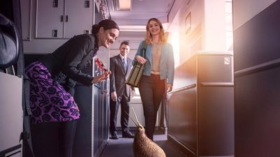 “Pete” the kiwi is the star for Air New Zealand’s first global brand campaign that will launch in 10 markets including Singapore.