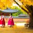 Scoot readies for Australia and South Korea travel boom
