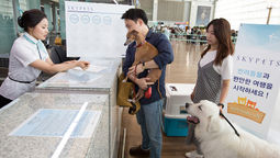 Passengers can earn stamps for each pet flight and redeem them for discounts and benefits on future flights.