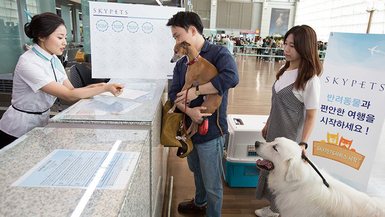 Passengers can earn stamps for each pet flight and redeem them for discounts and benefits on future flights.