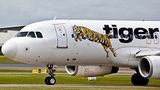 Tigerair, inviting guide dogs onboard
