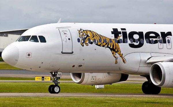 Tigerair, inviting guide dogs onboard