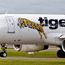 Guide dogs may soon be able to board Tigerair