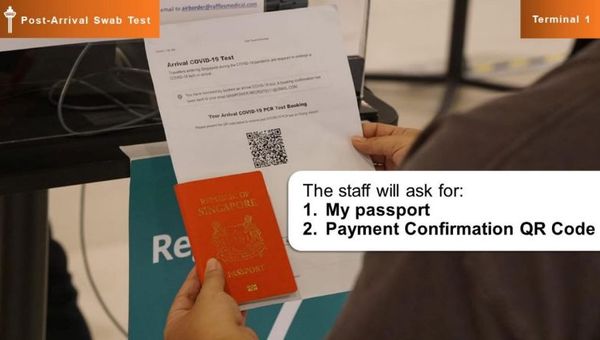 The step-by-step guide allows passengers to familiarise themselves with the full flight experience.