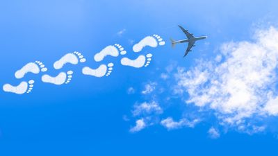 Airlines want to end the confusion over carbon offsetting contributions by passengers.
