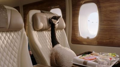 Gerry the Goose enjoying a premium experience with Emirates.