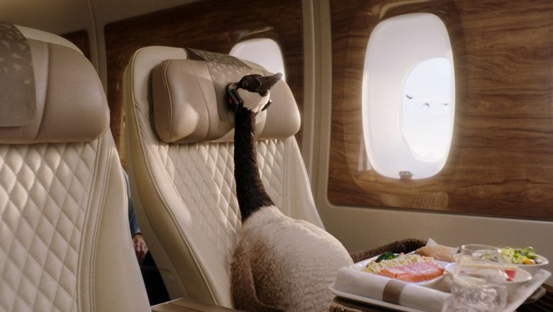 Gerry the Goose enjoying a premium experience with Emirates.
