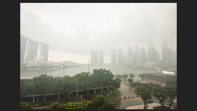 Cool weather over the past few days has been a welcome respite for locals and visitors in the usually-muggy Singapore.