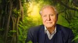 Attenborough supporting the Borneo Nature Foundation’s Books for Borneo campaign to raise funds for environmental conservation education in schools.