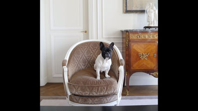 Paris Fashion Week: It’s all about the mutts and the models