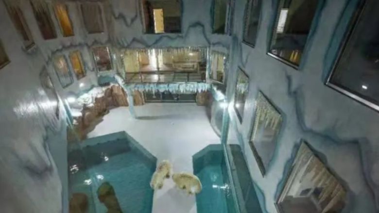 Conservationists have slammed the marketing gimmick and likened the enclosure at the Harbin hotel to a prison.