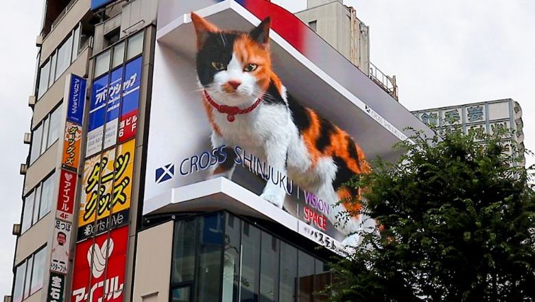 The Shinjuku 3D cat has stolen the hearts of many.