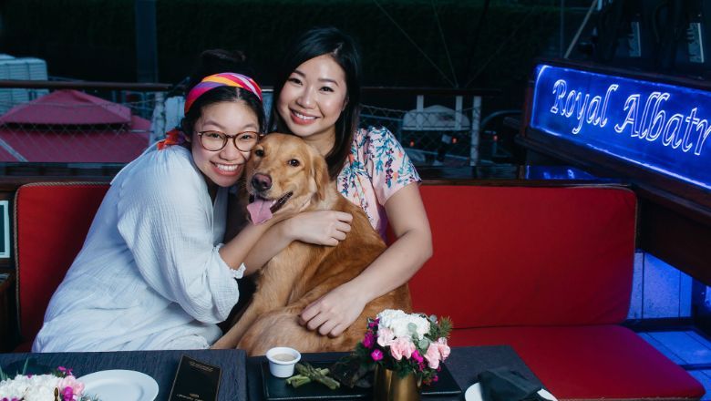 A new sunset cruise on board the luxury tall ship Royal Albatross has sailed into town for fur-parents and their beloved pooches.