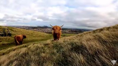 "While many countries, including Scotland, are in lockdown due to COVID-19 with travel restrictions in place, we want people to still be able to enjoy our country," says VisitScotland.