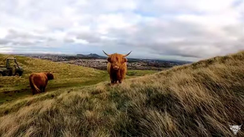 "While many countries, including Scotland, are in lockdown due to COVID-19 with travel restrictions in place, we want people to still be able to enjoy our country," says VisitScotland.