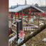 Snow village in China comes under fire for fake snow