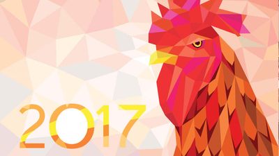 Assessing good and bad fortunes in the Year of the Fire Rooster