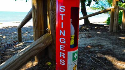 Astinger first aid station relief on a beach in Australia.