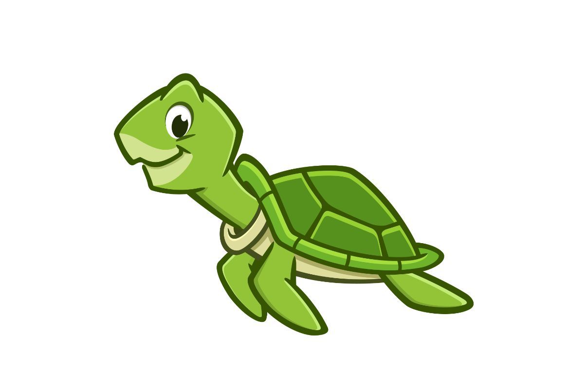 A plane was forced to wait while a turtle meandered across the runway.