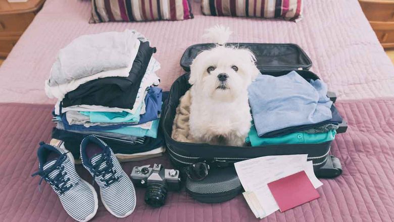 On the road: How Asia Pacific’s business travellers stay in touch